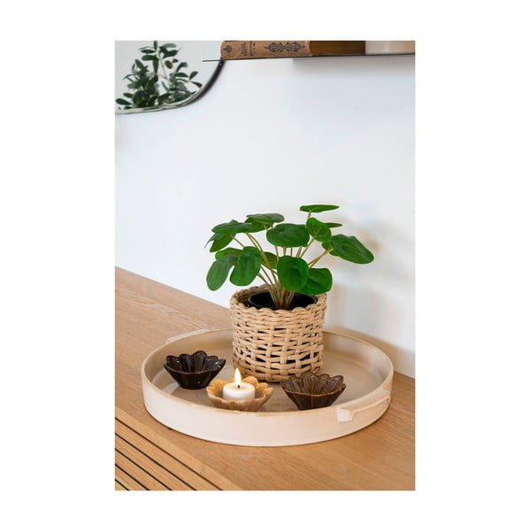 Plantă artificială (înălțime 28 cm) Pelia – House Nordic-image-1