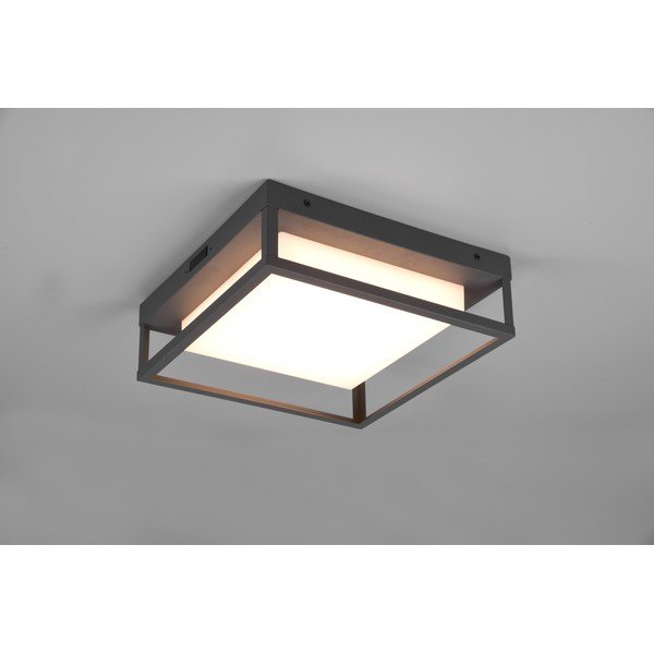 Corp de iluminat pentru exterior LED de perete (înălțime 10 cm) Witham – Trio-image-2
