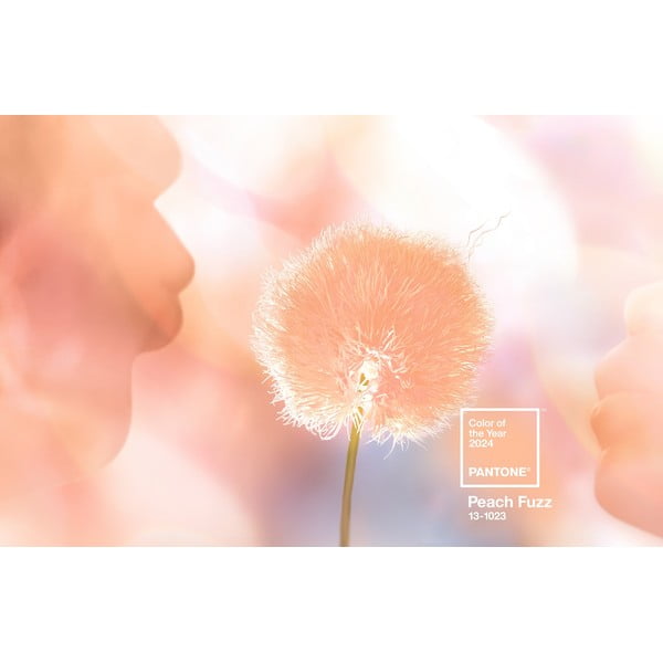 Cană din ceramică roz-portocaliu 175 ml Cortado Peach Fuzz 13-1023 – Pantone-image-2