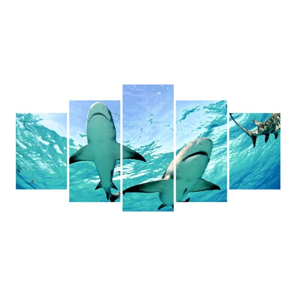 Tablou din 5 piese La Maison Des Couleurs Sharks