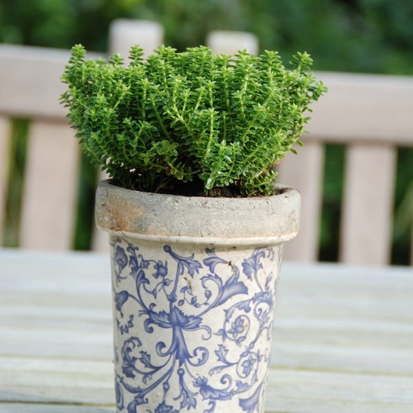 Ghiveci din ceramică ø 13 cm – Esschert Design-image-2