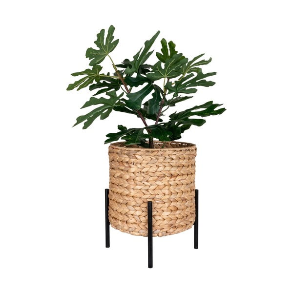 Ghiveci din zambilă de apă ø 26,5 cm Antas – House Nordic-image-3