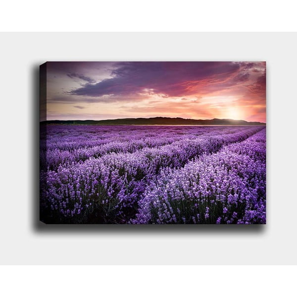 Tablou 100x70 cm Lavender Field – Wallity-image-2