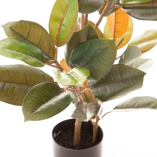 Ficus artificial (înălțime 90 cm) Ficus – Ixia-image-2
