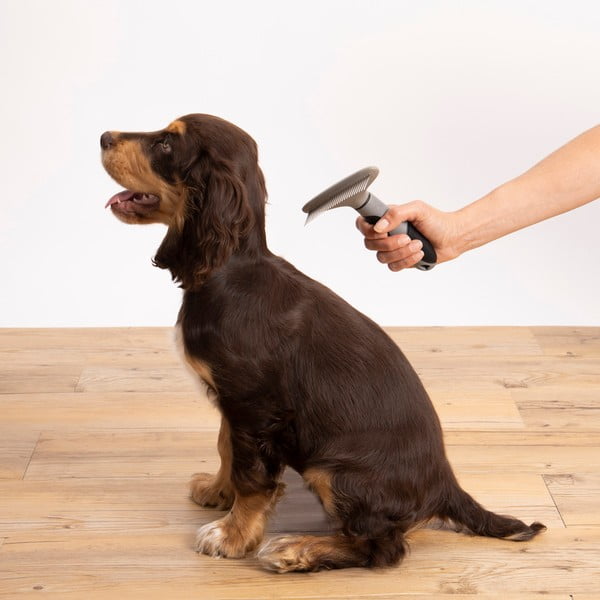 Perie pentru animale – Love Story-image-1