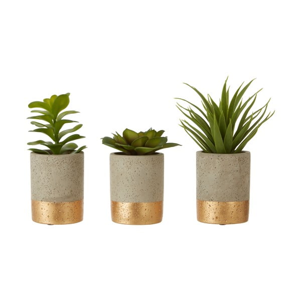 Set 3 plante suculente în ghiveci de ceramică Premier Housewares Fiori
