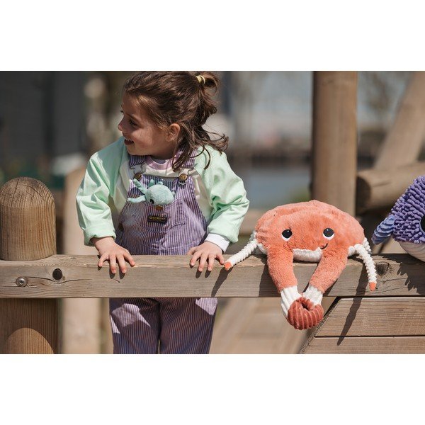 Jucării de pluș 2 buc. Ptipotos Cassecou – Les Deglingos-image-2