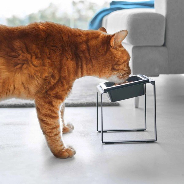 Bol cu suport  pentru animale de companie din ceramică Nooks – YAMAZAKI-image-1