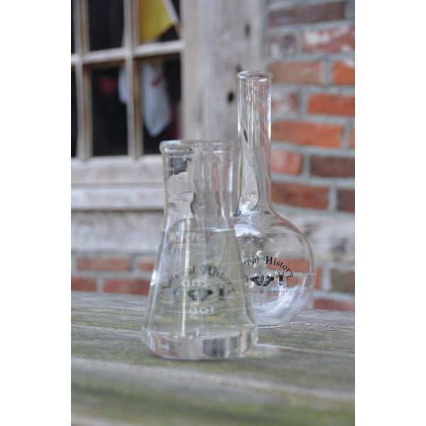 Vază din sticlă (înălțime 23 cm) Natural History – Esschert Design-image-1