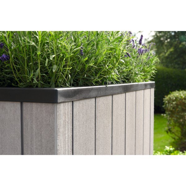 Pat ridicat de plante Sequoia Duotech – Keter-image-1