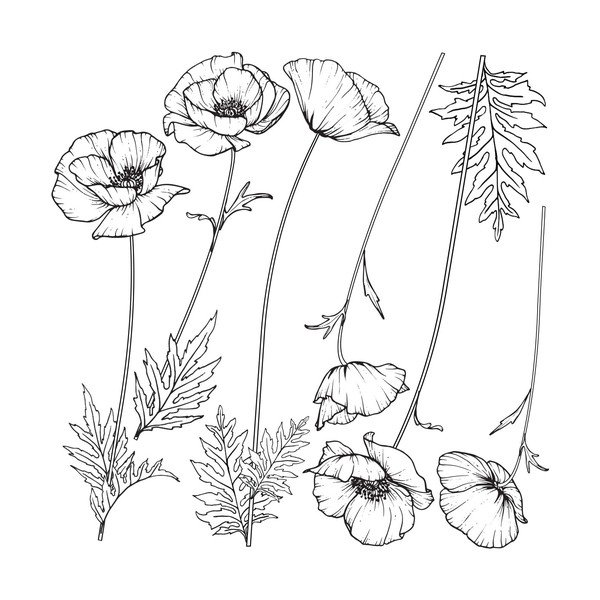 Set autocolante pentru perete Ambiance Poppies-image-1