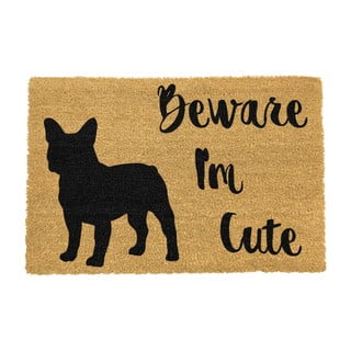 Covoraș intrare din fibre de cocos Artsy Doormats Cute French, 40 x 60 cm