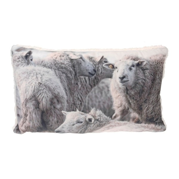 Pernă Mistral Home Sheeps, 30 x 50 cm