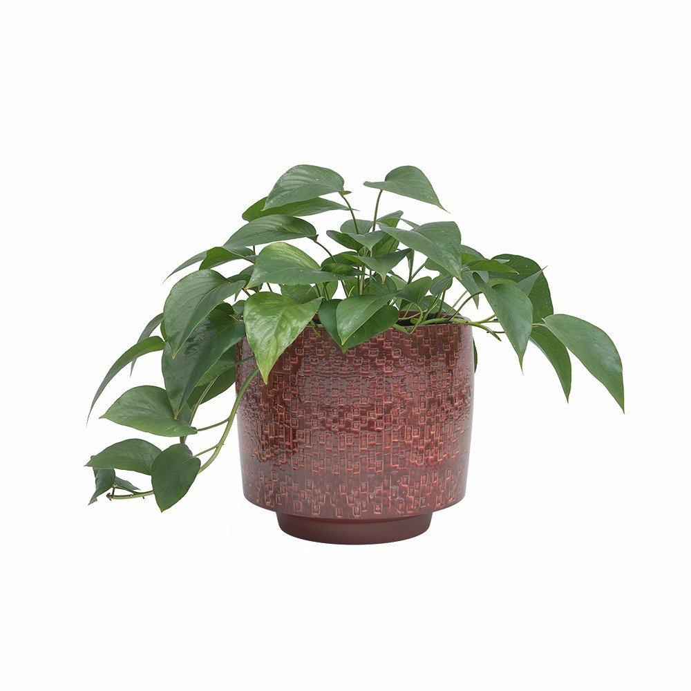 Ghiveci decorativ din ceramicÄhandmade Ã¸ 21 cm Minerva âu0080Artevasi