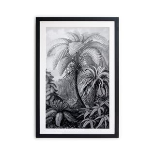 Poster Surdic Palm, 60 x 40 cm, alb - negru