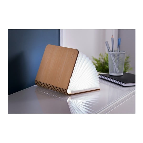 Decorațiune luminoasă în culoare naturală cu USB Booklight – Gingko-image-4
