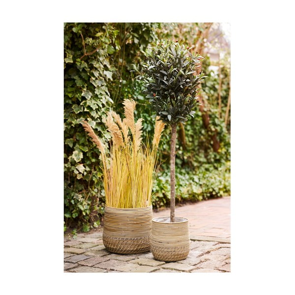 Coșuri de depozitare 2 buc. din ratan ø 39x35 cm Moro – House Nordic-image-2