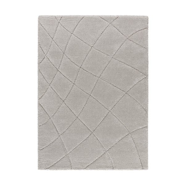 Covor gri deschis 60x120 cm Molier – Universal