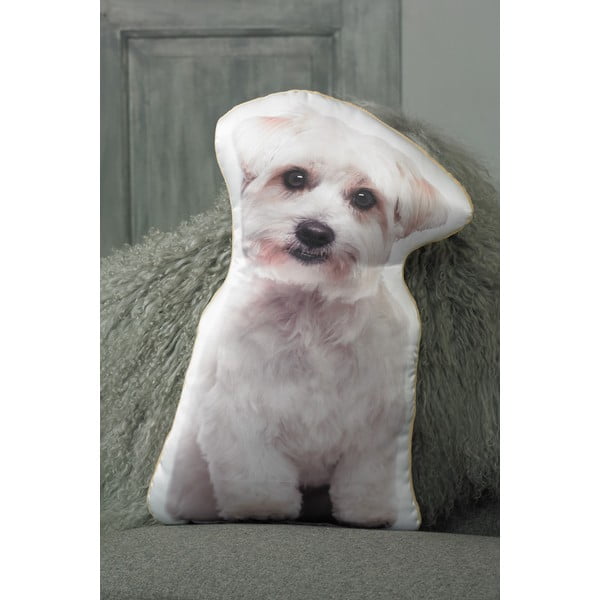 Pernuță cu imprimeu Adorable Cushions Maltez-image-1