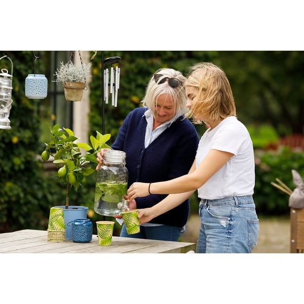 Set 10 pahare mari de unică folosință, Esschert Design Farma-image-4