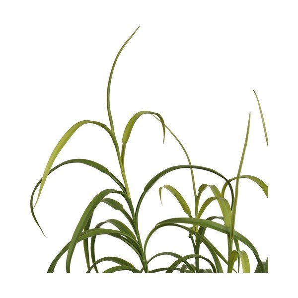 Plantă artificială (înălțime 89 cm) Grass – House Nordic-image-3