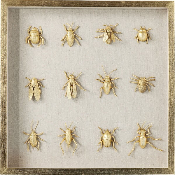 Tablou perete insecte Kare Design