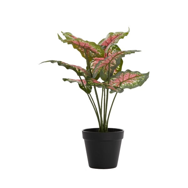 Plantă artificială (înălțime 40 cm) Caladium – Light & Living