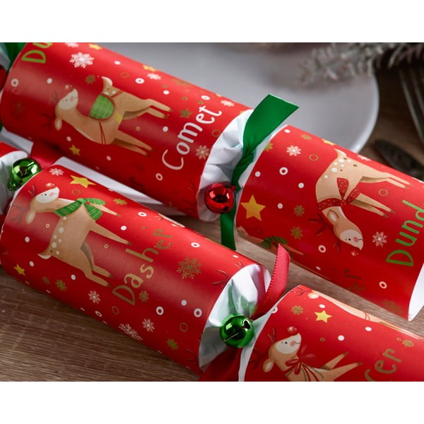 Pocnitori de Crăciun 6 buc. Rudolph & Friends – Robin Reed-image-2