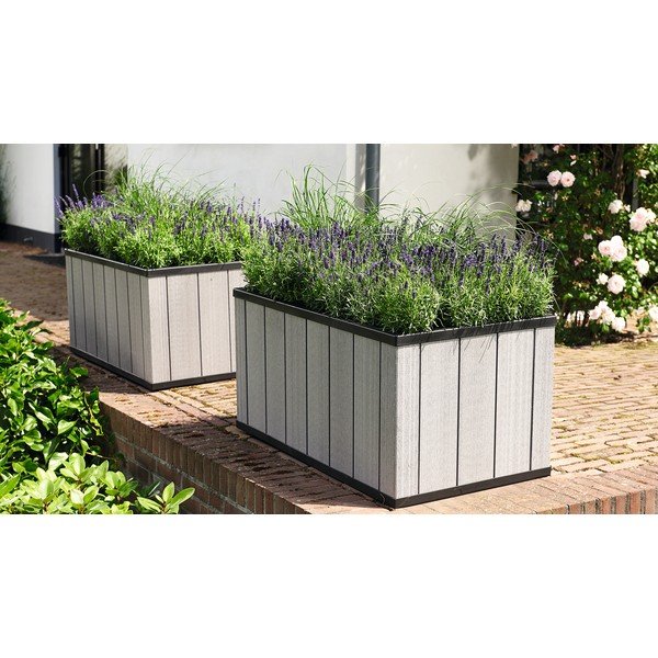 Pat ridicat de plante Sequoia Duotech – Keter-image-2