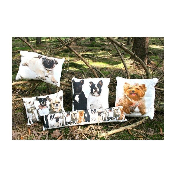 Pernă Chihuahuas 35x50 cm-image-2