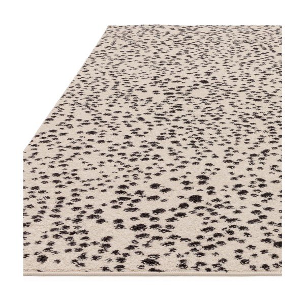 Covor negru-alb 160x230 cm Muse – Asiatic Carpets-image-4