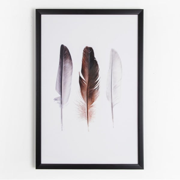 Tablou Graham & Brown Feather Trio, 40 x 60 cm