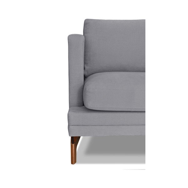 Canapea cu 2 locuri Windsor & Co. Sofas Jupiter, gri-image-2