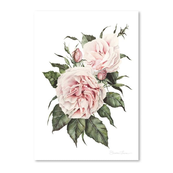 Poster Americanflat Pink Garden Roses by Shealeen Louise, 30 x 42 cm
