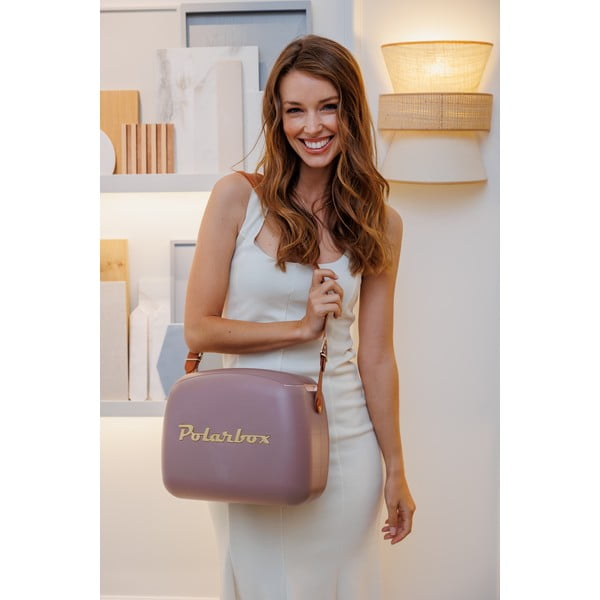 Cutie termoizolantă maro 6 l Classic Gold – Polarbox-image-1