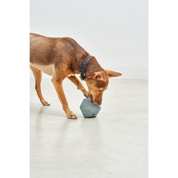 Jucărie pentru câine Dado Eucalyptus – MiaCara-image-1