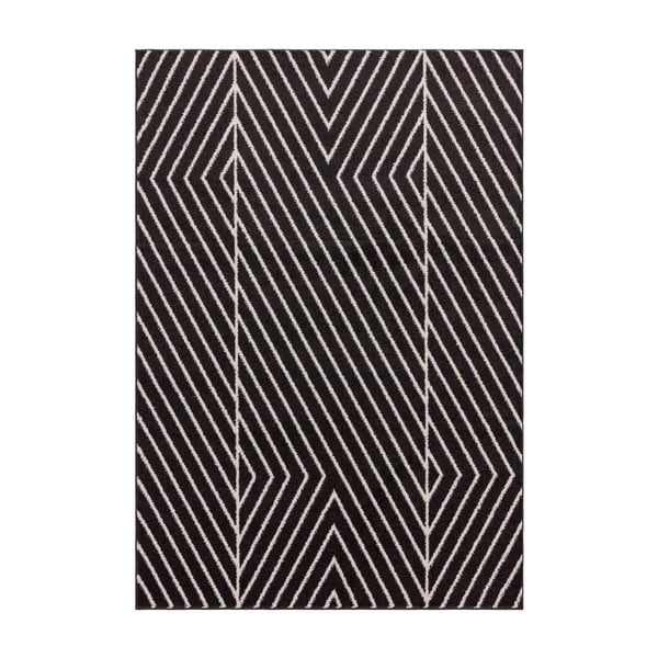 Covor negru-alb 120x170 cm Muse – Asiatic Carpets