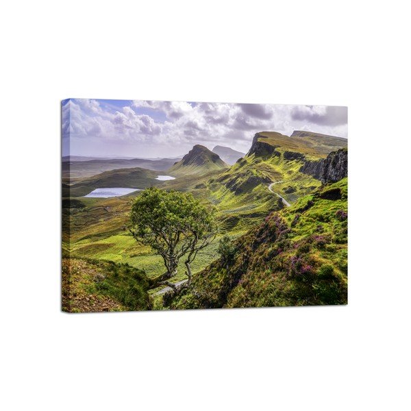 Tablou Styler Canvas Scotland Nature, 85 x 113 cm