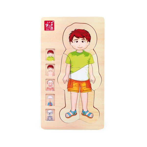 Jucărie din lemn Legler Anatomy Boy-image-1
