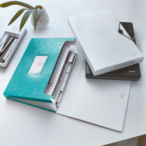 Organizator pentru documente din plastic WOW – Leitz-image-1