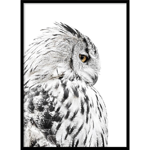 Poster cu ramă 50x70 cm Owl – Styler
