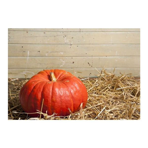 Covoraș din vinilin Pumpkin, 52 x 75 cm