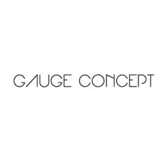 Gauge Concept · Buddy