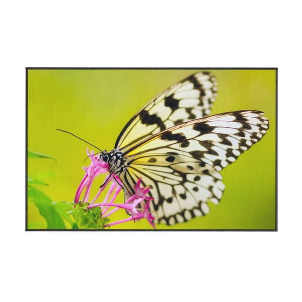 Covor Oyo home Butterfly, 80 x 140 cm, verde