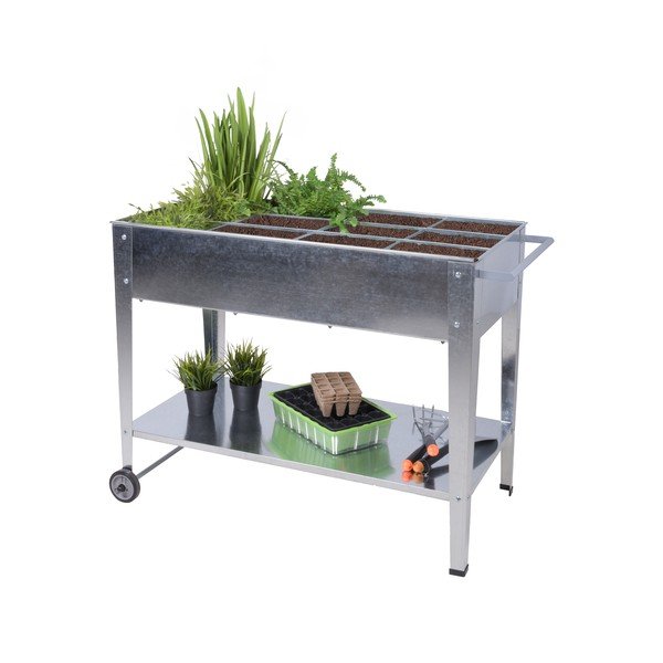 Pat ridicat de plante Mariegold – Garden Pleasure-image-2