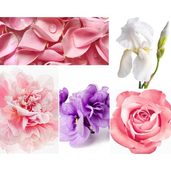Difuzor de parfum cu bețișoare Privé Home Rose Pivoine, 200 ml-image-1