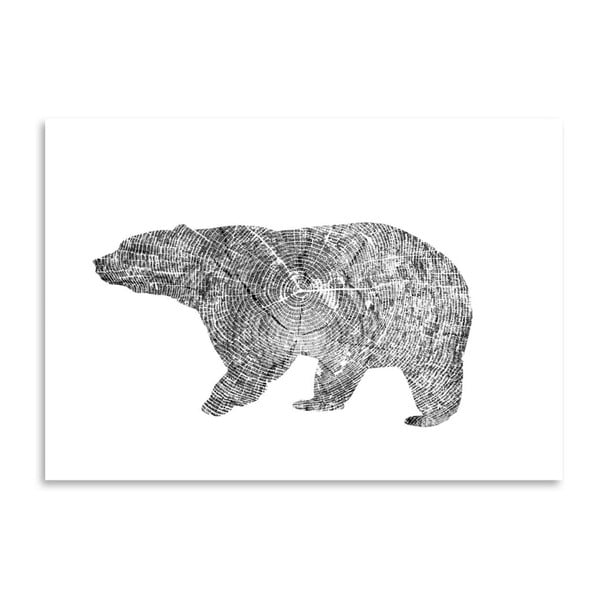 Poster Americanflat Bear, 30 x 42 cm