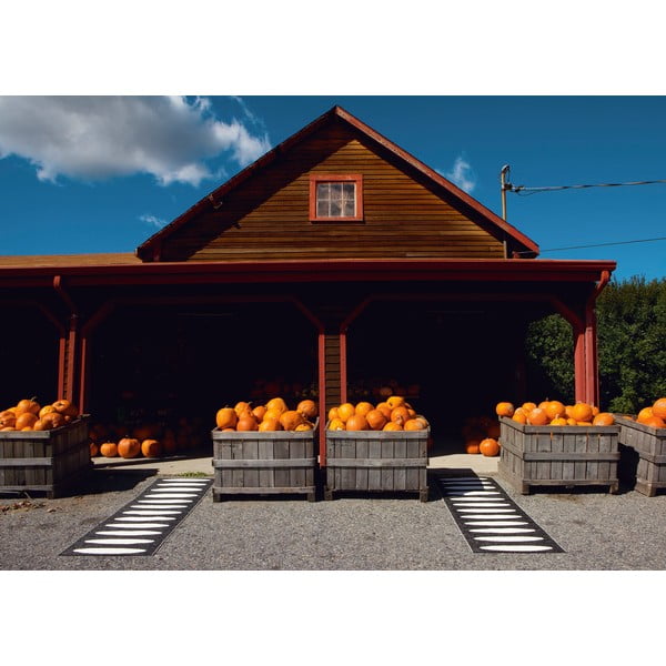 Covor tip traversă pentru interior și exterior negru 70x150 cm Ella Black – Pappelina-image-3