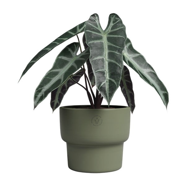 Ghiveci din ceramică făcut manual ø 17 cm Echo – Artevasi-image-2