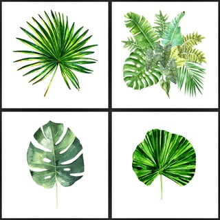 Poster 30x30 cm Monstera - knor